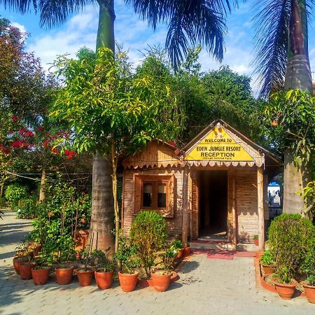 Eden Jungle Resort Sauraha Exteriér fotografie