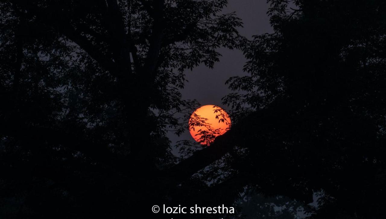 Eden Jungle Resort Sauraha Exteriér fotografie