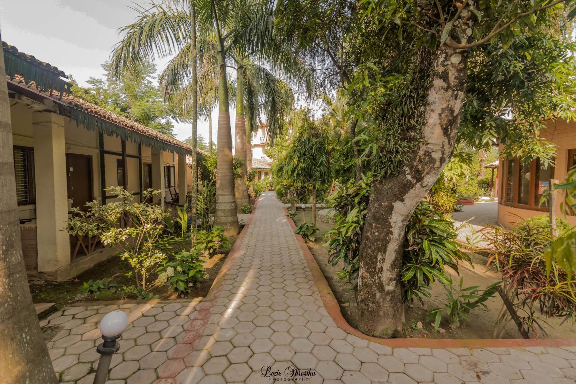 Eden Jungle Resort Sauraha Exteriér fotografie