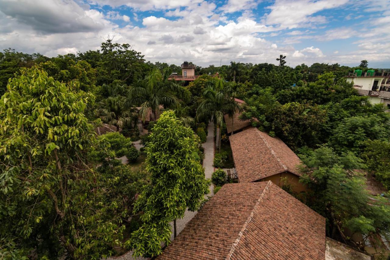 Eden Jungle Resort Sauraha Exteriér fotografie