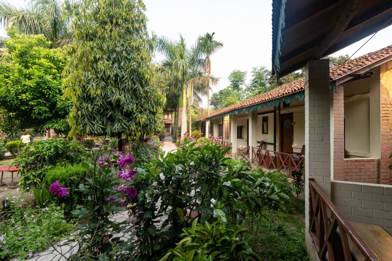 Eden Jungle Resort Sauraha Exteriér fotografie