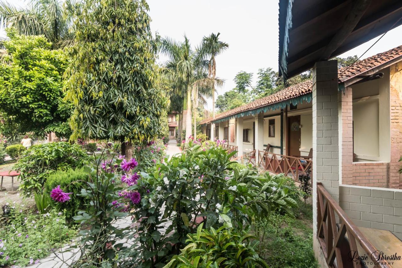 Eden Jungle Resort Sauraha Exteriér fotografie